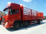 東風(fēng)倉欄車,天龍倉欄車,東風(fēng)天龍210馬力倉欄車報價DFL5203CCQAX