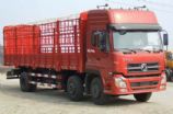 東風牌DFL5253CCQAX1倉柵式運輸車,東風天龍6X2康明斯245馬力9米6箱長蒼欄車價格DFL5253CCQAX1