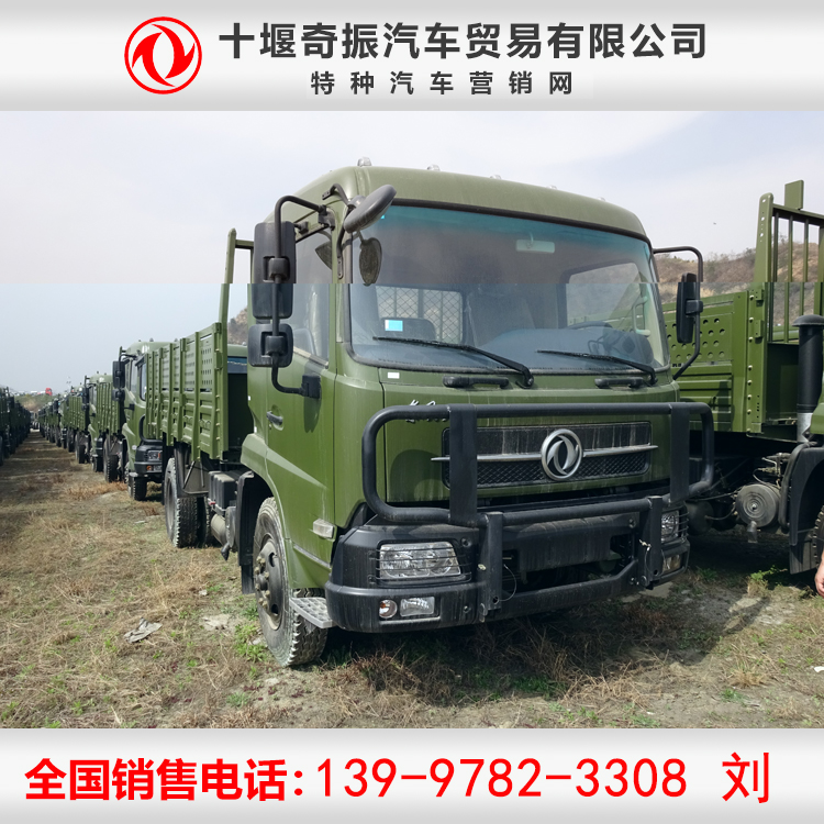 東風(fēng)天錦運(yùn)兵車參數(shù) 泥濘地區(qū)勘探四驅(qū)越野運(yùn)輸車圖片